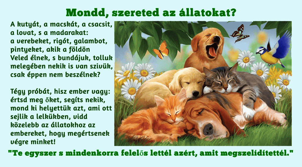 ÁLLATK VILÁGNAPJA3.png