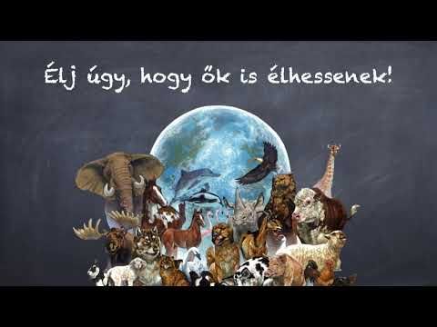 ÁLLATOK VILÁGNAPJA