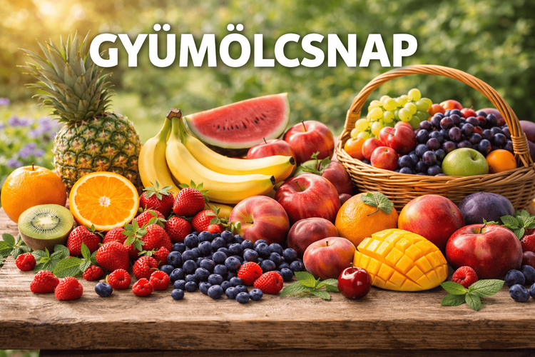 GYÜMÖLCSNAP