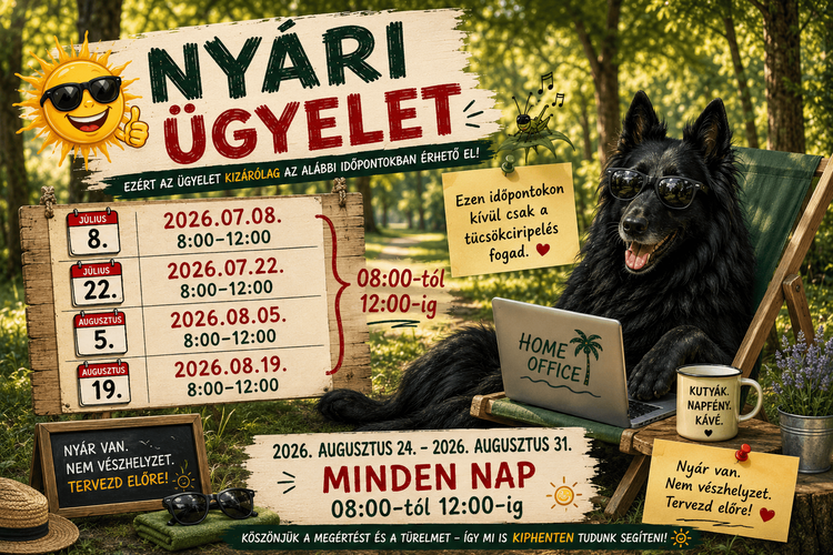 NYÁRI ÜGYELET