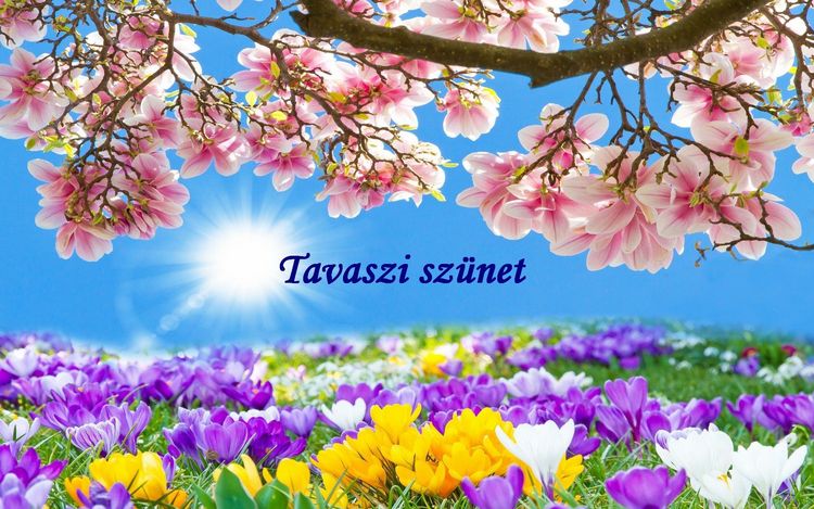 TAVASZI SZÜNET