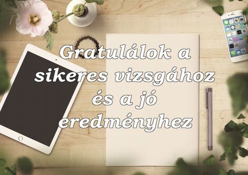 SZAKMAI VIZSGA