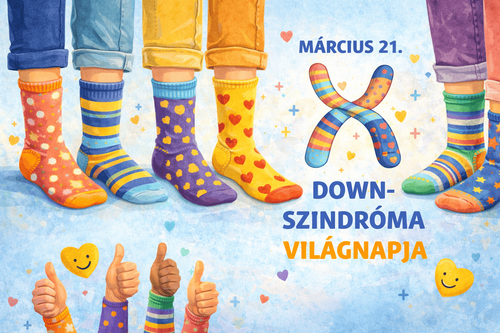 FELEMÁS ZOKNIRA FEL!