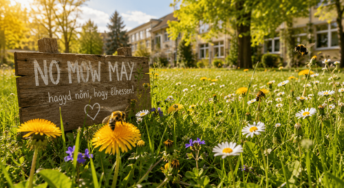 NO MOW MAY