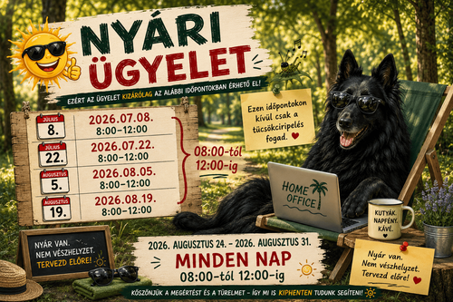 NYÁRI ÜGYELET