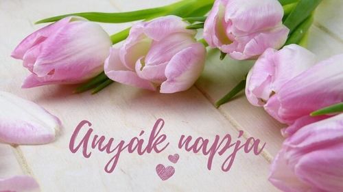 ANYÁK NAPJA