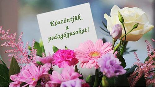 PEDAGÓGUSNAP
